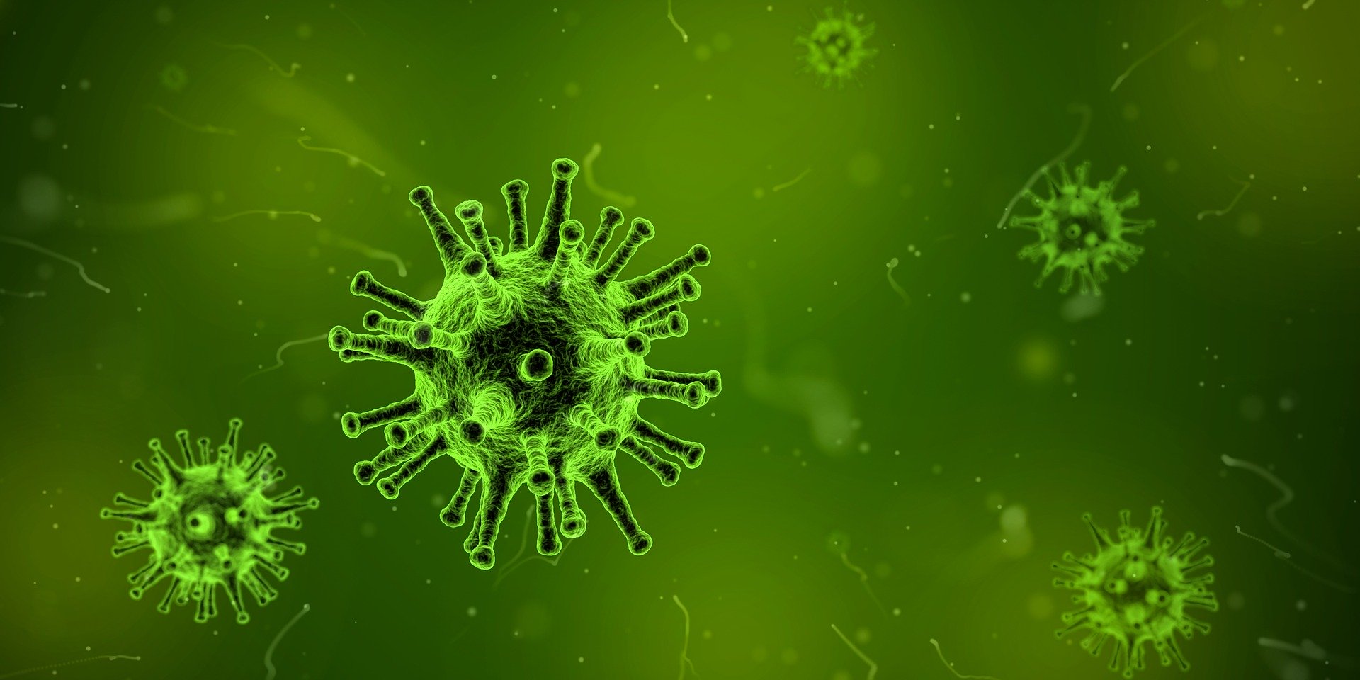 Visualisierung des Coronavirus